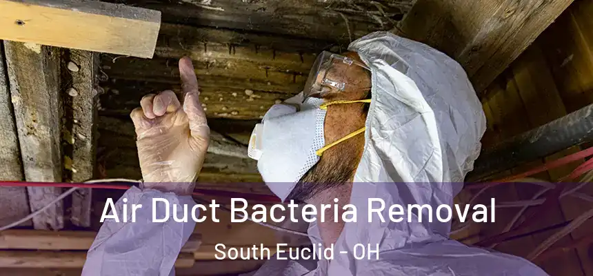  Air Duct Bacteria Removal South Euclid - OH