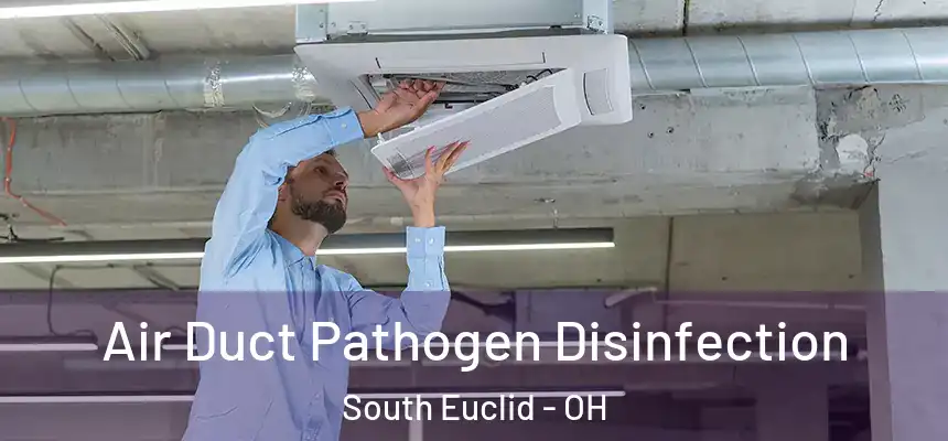  Air Duct Pathogen Disinfection South Euclid - OH