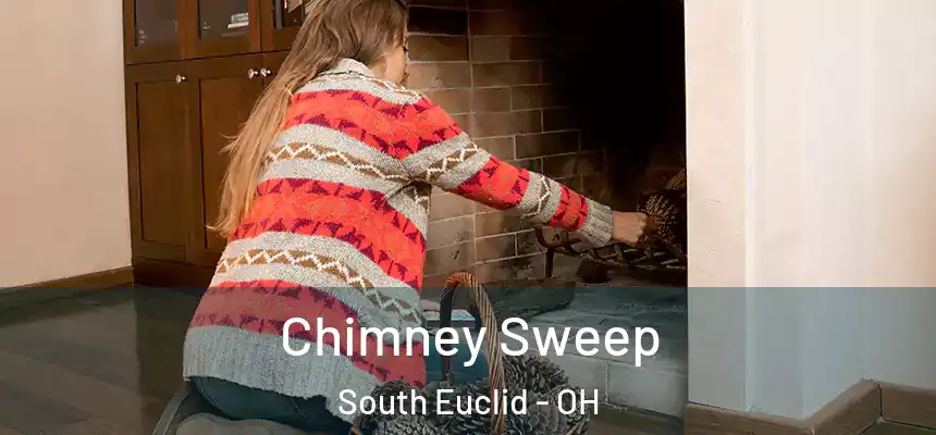  Chimney Sweep South Euclid - OH
