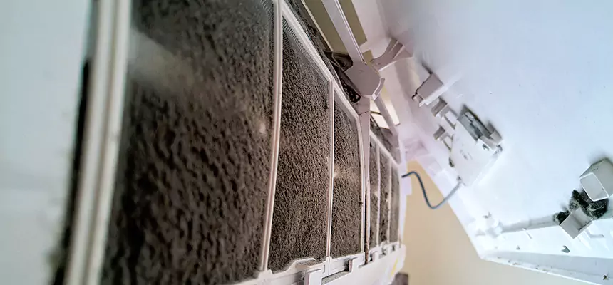 Preventive Air Duct Bacteria Removal in South Euclid