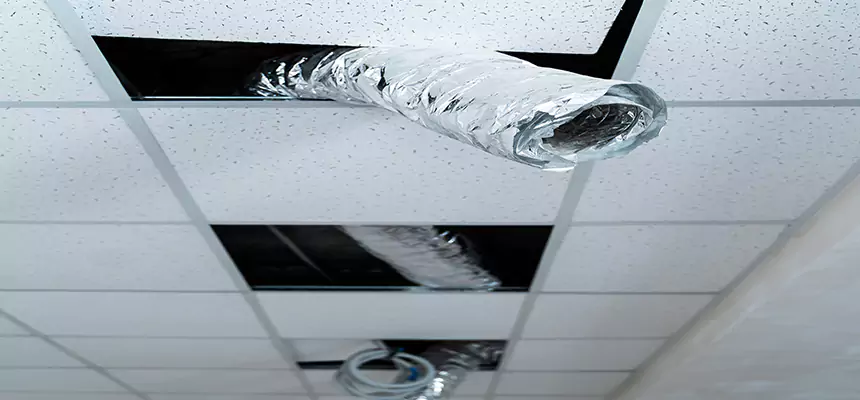 Affordable HVAC Sanitizing After Pest Removal in South Euclid