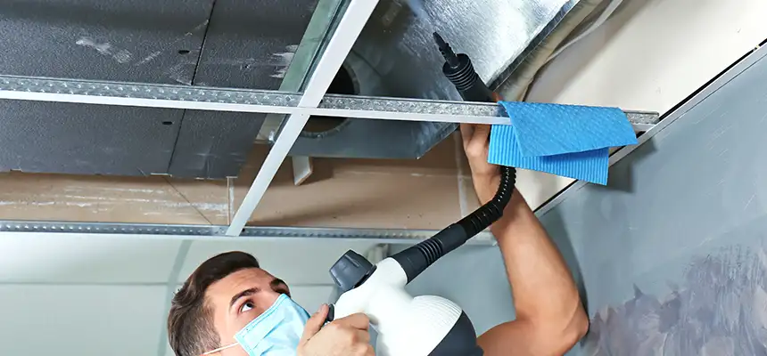 Our Air Duct Rodent Removal Services in South Euclid, OH