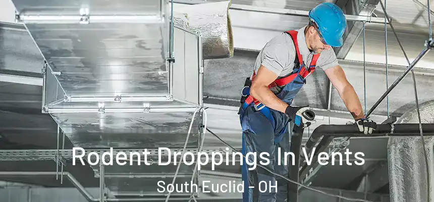  Rodent Droppings In Vents South Euclid - OH