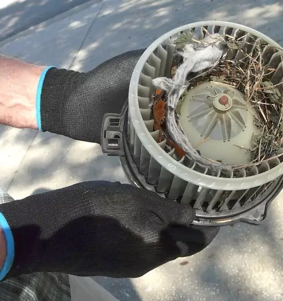 About Air Duct Mice Removal in South Euclid, OH