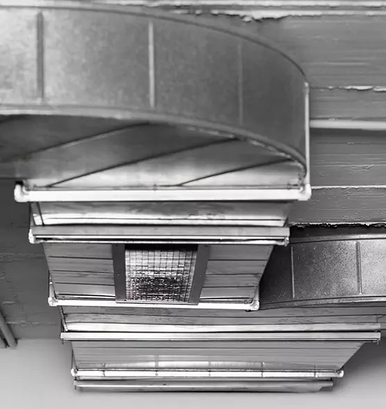 Professional Air Duct Pet Hair Removal in South Euclid, OH