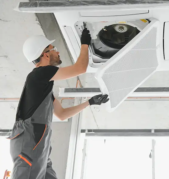 About Air Duct Rodent Removal in South Euclid, OH