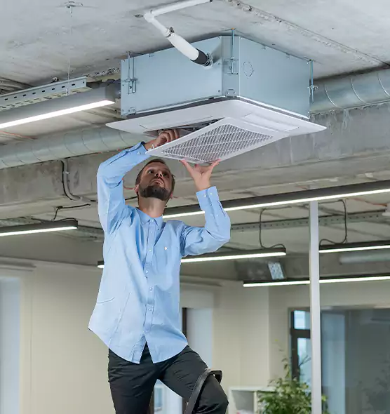 Advanced Rodent Droppings In Vents in South Euclid, OH