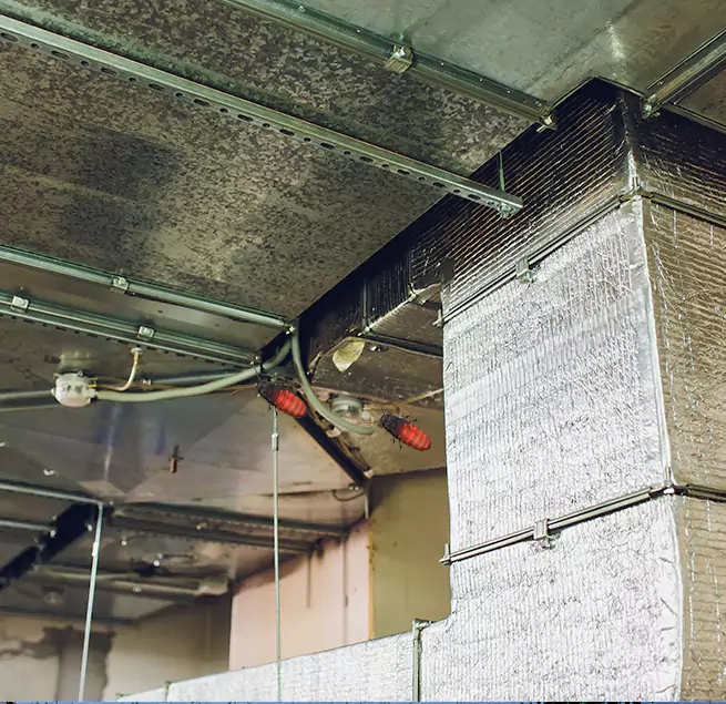 Why Homeowners & Businesses Trust Us in South Euclid, OH?