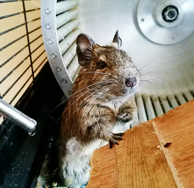 Why Homeowners & Businesses Trust Us South Euclid, OH?