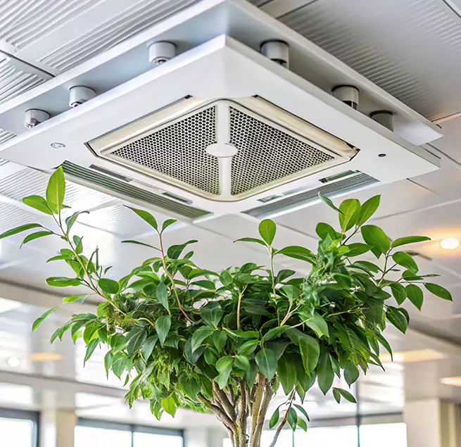 Why Homeowners & Businesses Trust Us in South Euclid, OH